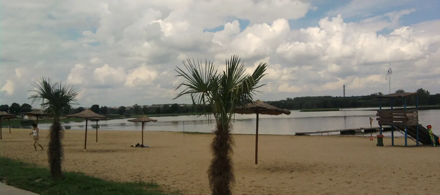 Zalew Kraśnicki: plaża z palmami i parasolami, woda i chmury nad horyzontem.